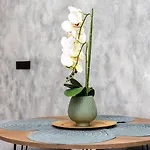 Apartamento Noguera Loft \