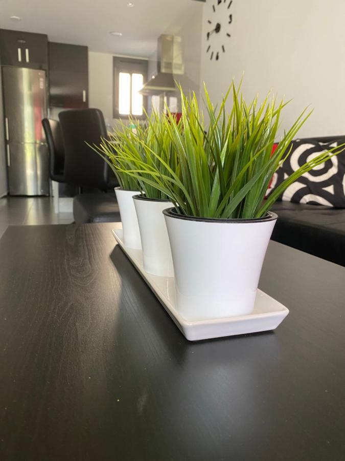 Apartment Oasis