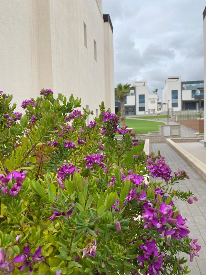 Oasis Apartment Alicante