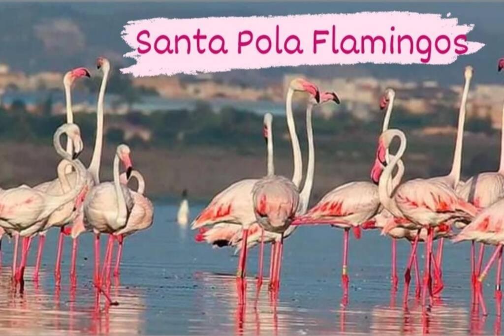 Close To Beaches & Golf Courses - With Pool & Bbq Apartamento *