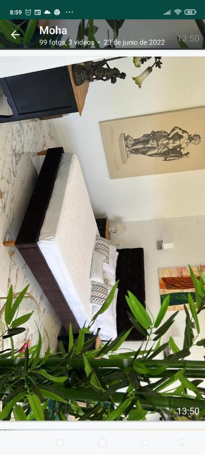 Apartamento 5* Lahcene *
