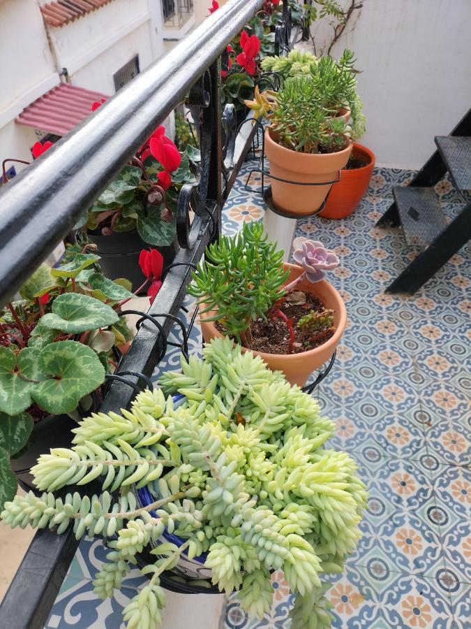 Private Terrace-romantic-sea, Castle Views-central *