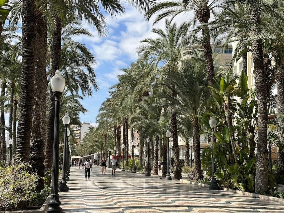 Lonja Central Apartment Alicante
