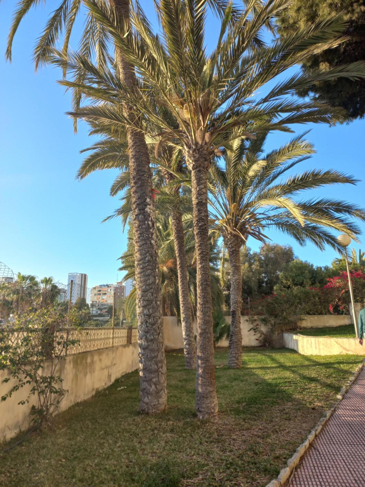 Apartamento La Remera Playa Alicante