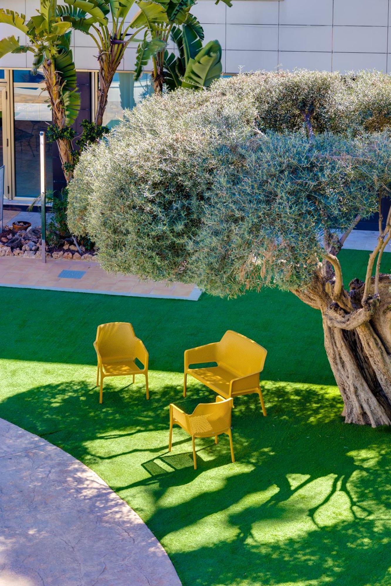 Hotel Daniya
