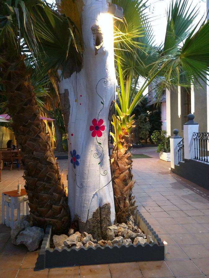Nwt Paradise Urban Hostel Alicante