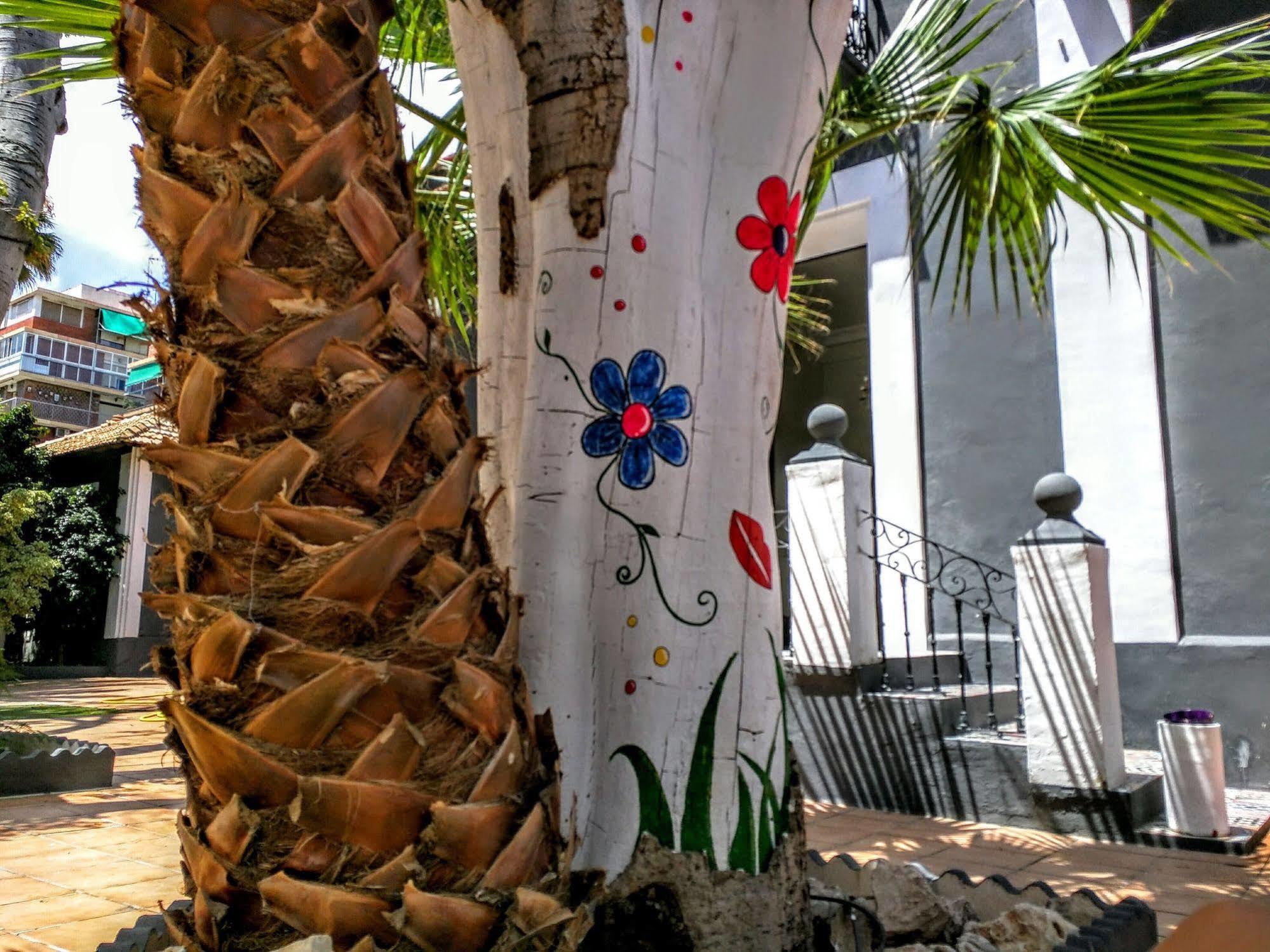 Nwt Paradise Urban Hostel