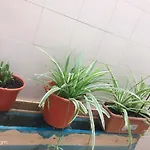 Jiaqi Casa