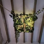 Garden Happyalicante Com
