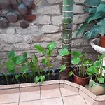 Pension Antonio Guesthouse