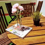 Collection City - Bed & Breakfast, Alicante Center I Cocina & Amplia Terraza - Jardin