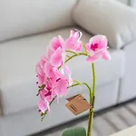 Maya Bay Suites