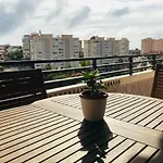 Mediodia Holiday