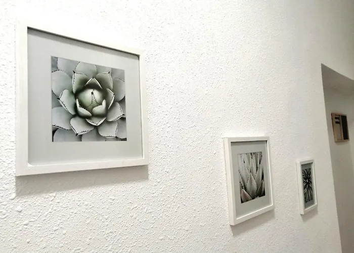 Room In The Center Of Alicante!