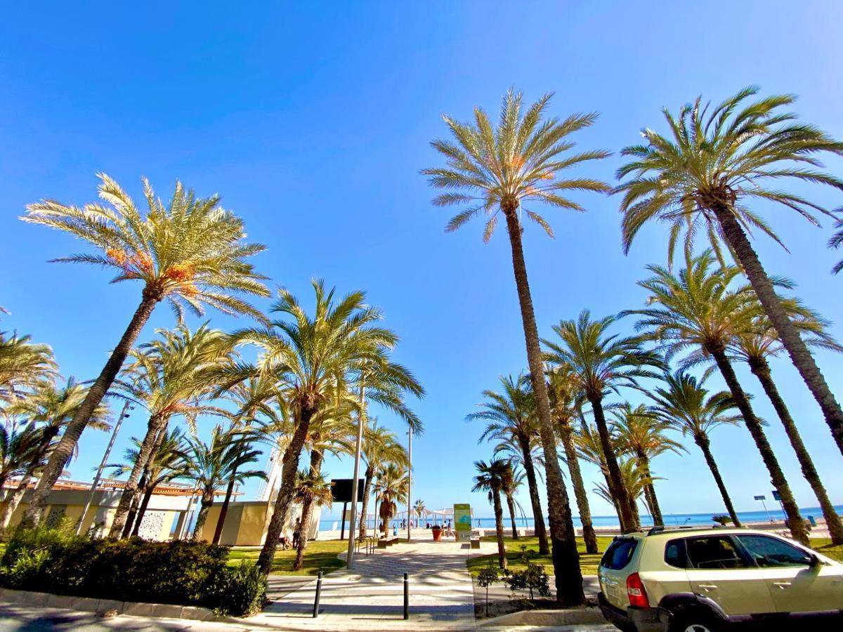 Apartamento Nereo 7 Primera Linea De Playa San Juan Piscina, Parking Wifi Inmobiliaria Leo Alicante