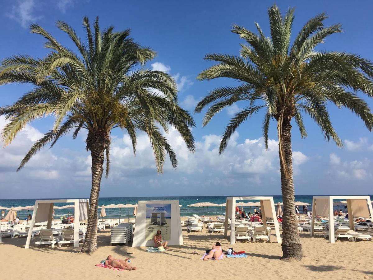 Domange I Apartamento Alicante