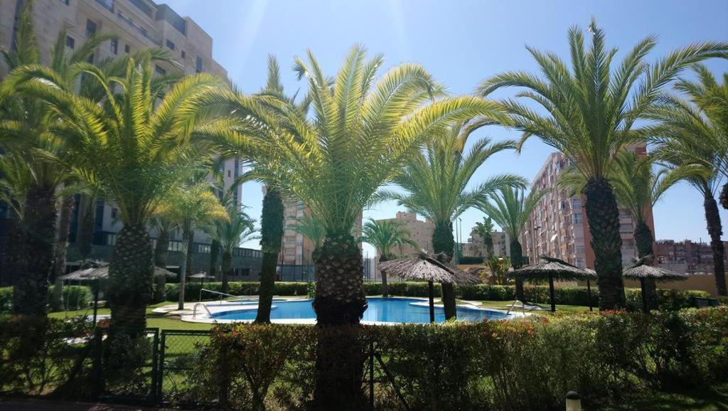 San Juan Playa Vip