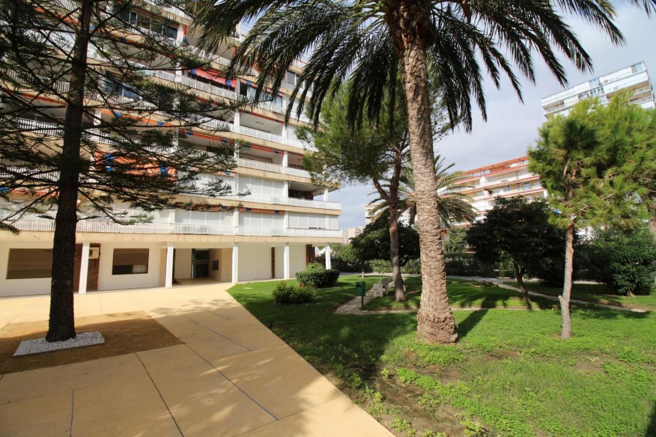 Apartment Apartamento Janeiro
