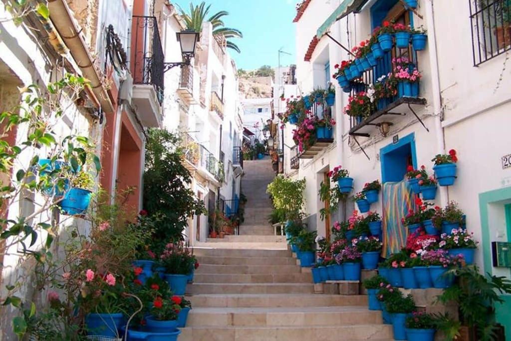 Apartamento Espacioso Y Céntrico Piso Con Zona Chill-out *
