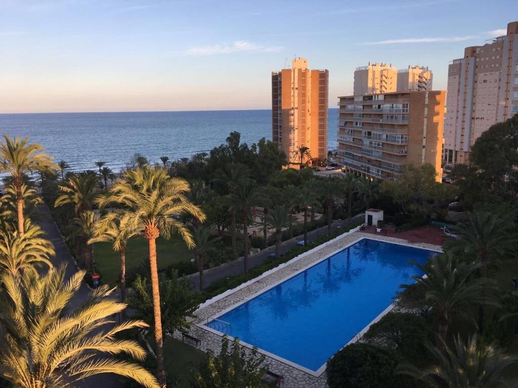 Muchavista Vu Piscine ,wifi Apartamento Alicante