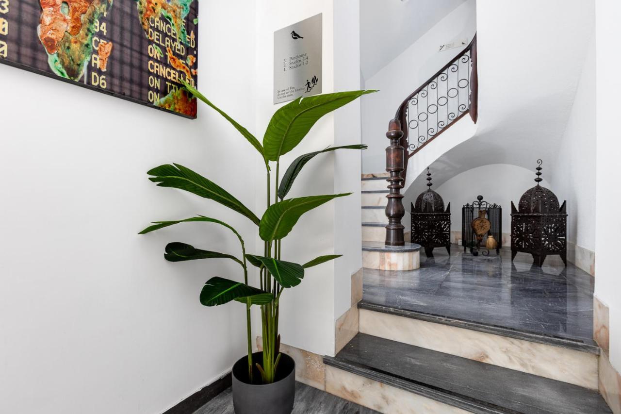 Pinzon & Penthouse Apartment