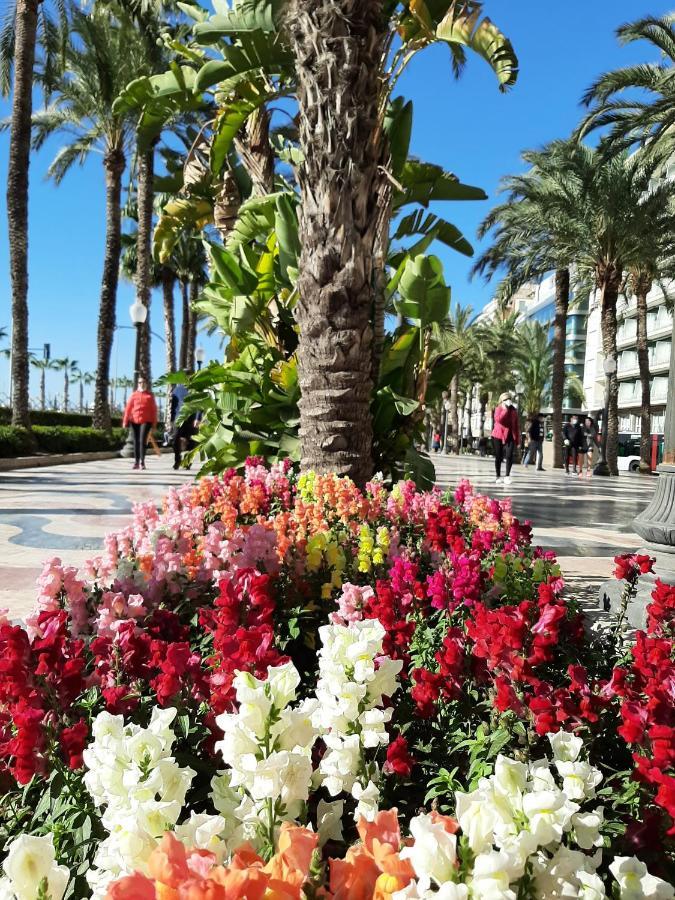 Casa Llorca Big Apt 3 Bedroom Garage Ac Wifi Alicante