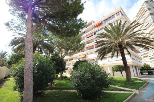 Apartamento Janeiro Apartment Alicante