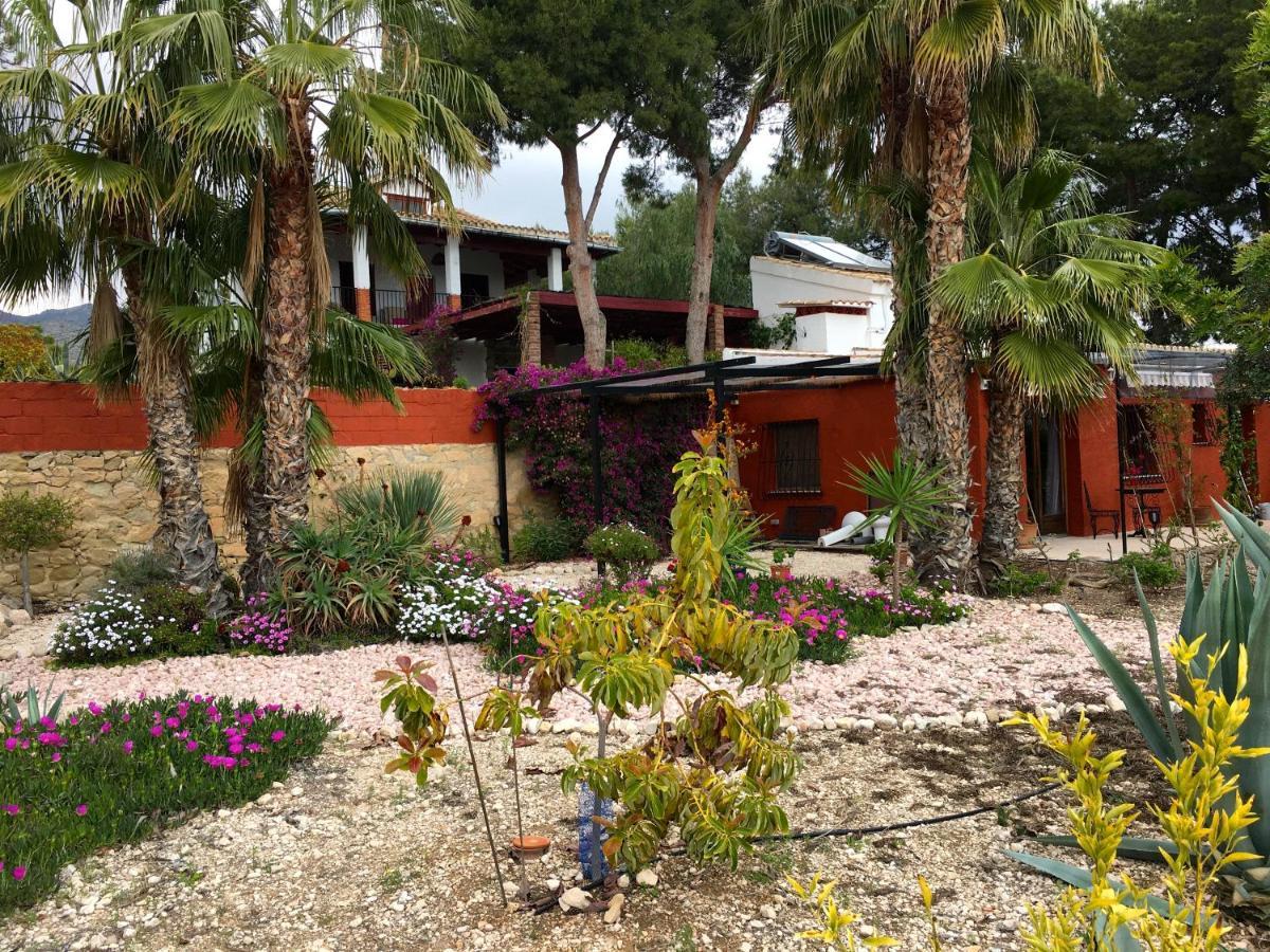 La Guarida Guest house Alicante