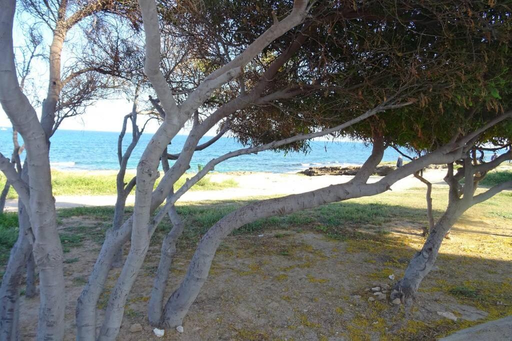 Apartamento Mar Azul - Ideal Parejas Apartment *