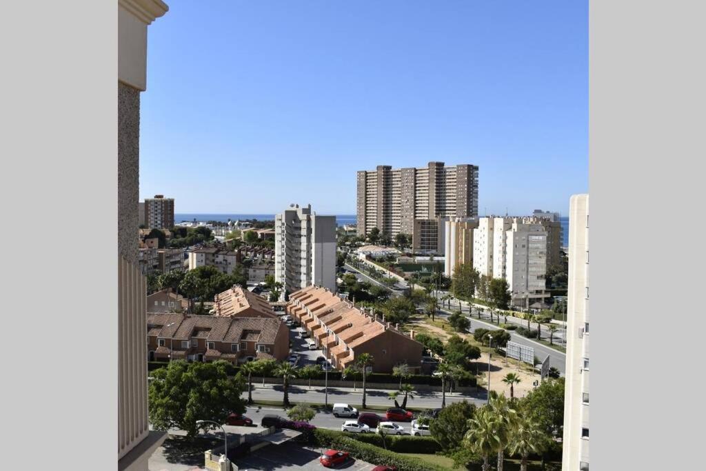 Olimpo Elite 8i * Alicante