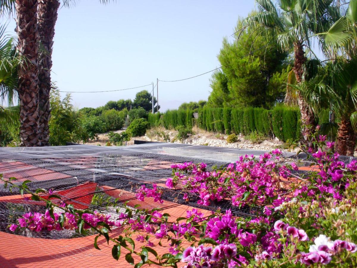 Guest house La Guarida