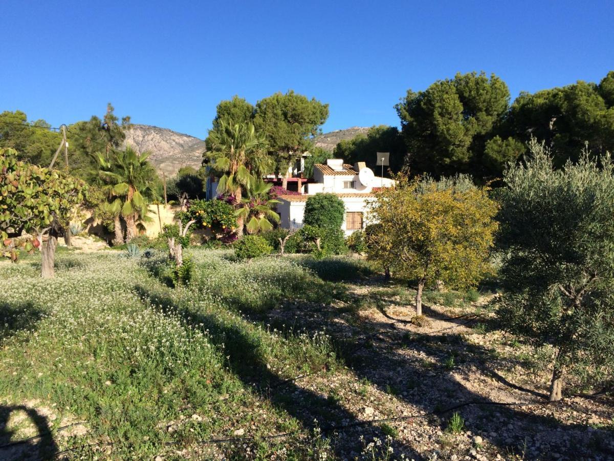 Guest house La Guarida