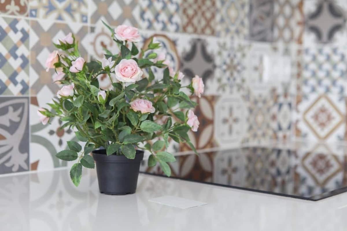 Loft Postiguet Alicante