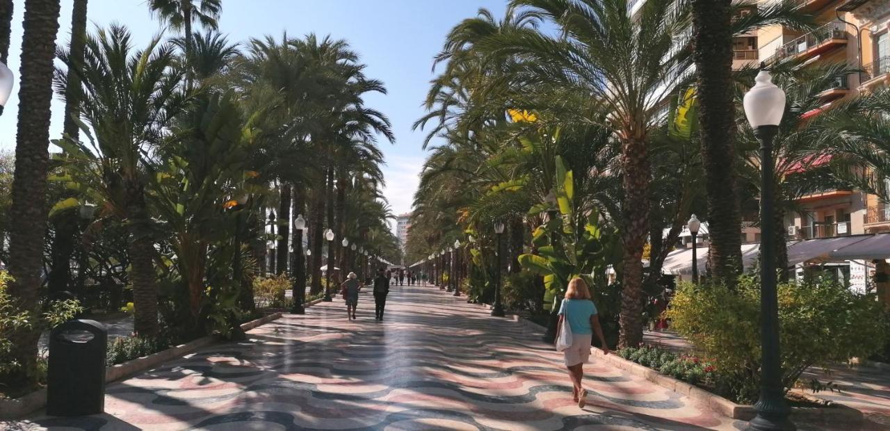 Apartamento Piso Casco Histórico Alicante