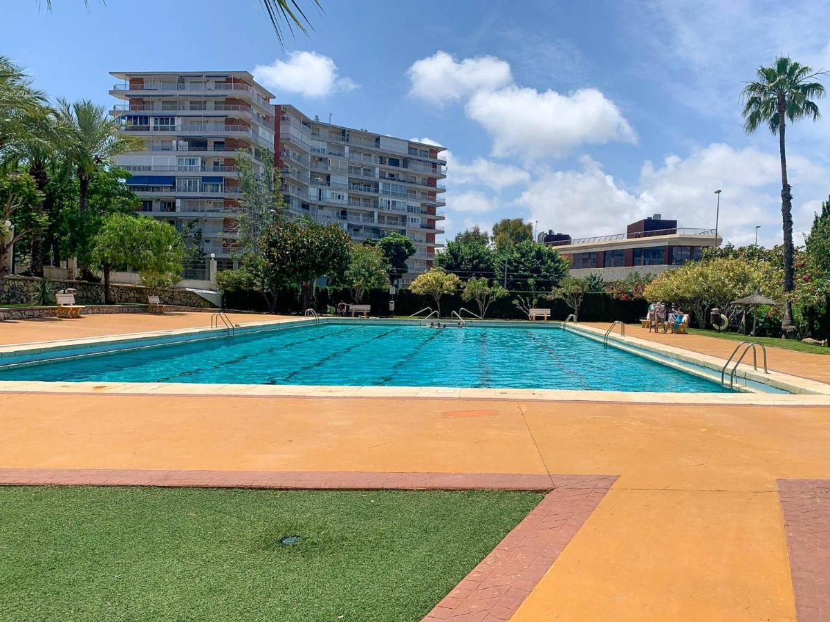 Apartment Precioso Y Acogedor Apto Con Ubicacion Inmejorable Alicante