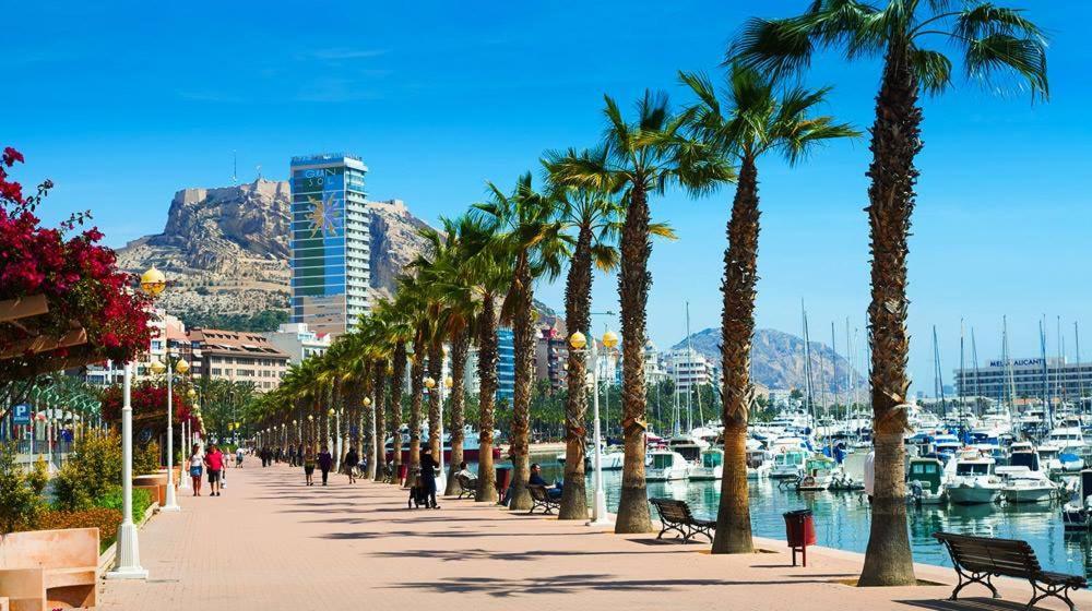 Homestay P-3- комната в квартире для 1 человека в центре Alicante