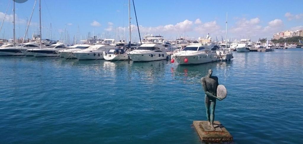 Apartamento The Terrace Canalejas Alicante