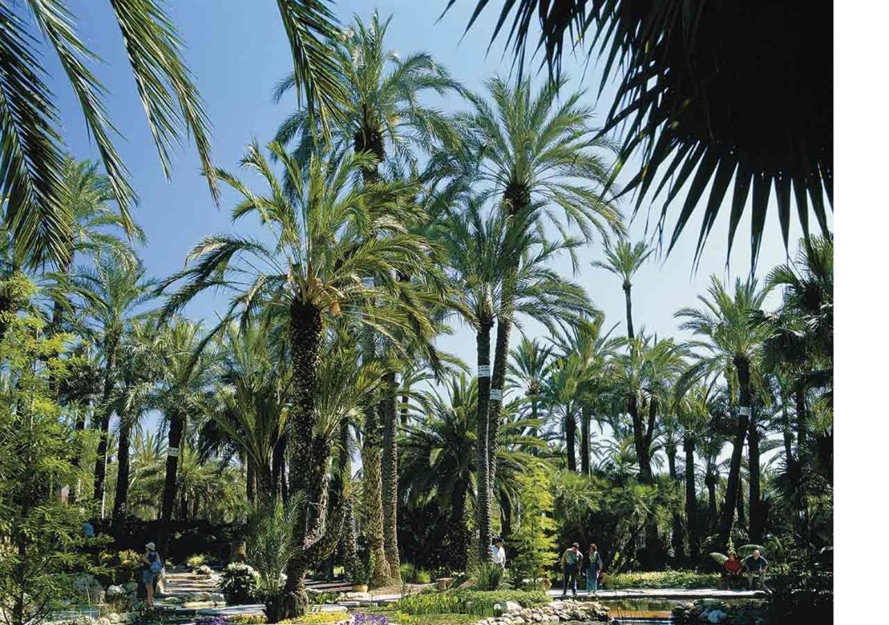 Apartment Luxury New Centre & Beach, Alicante