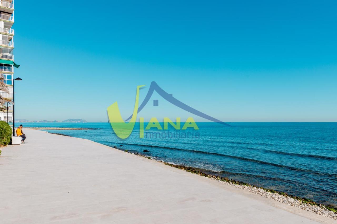 Avinguda Jaume I El Conqueridor Apartment Alicante