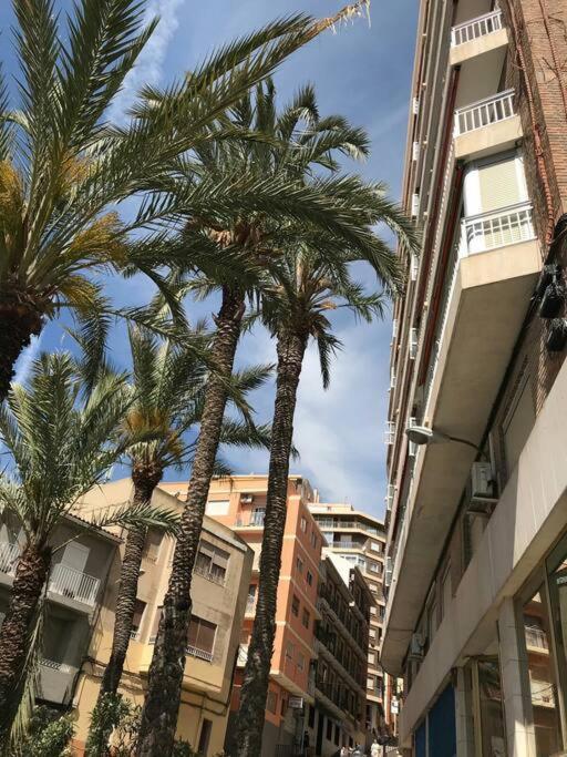 Apartamento Piso En Primera Linea De Playa Del Postiguet Alicante