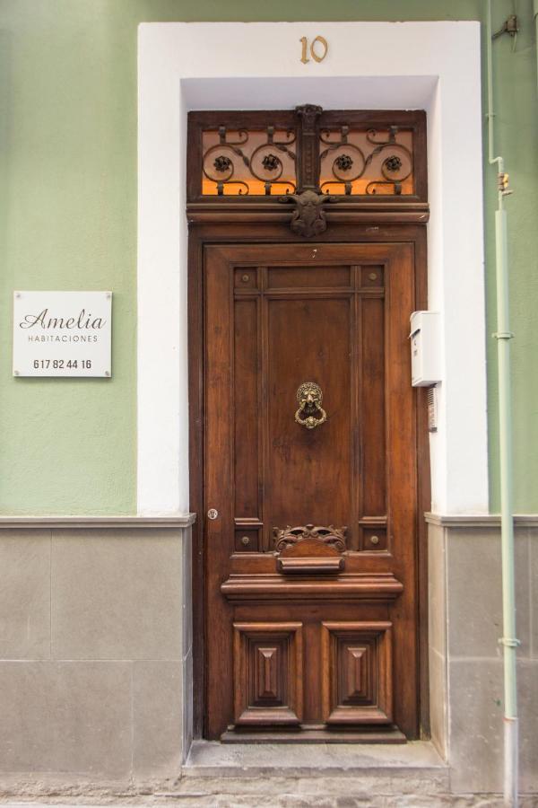 Amelia Guest house