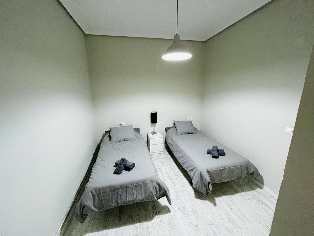 Apartamento Amazon