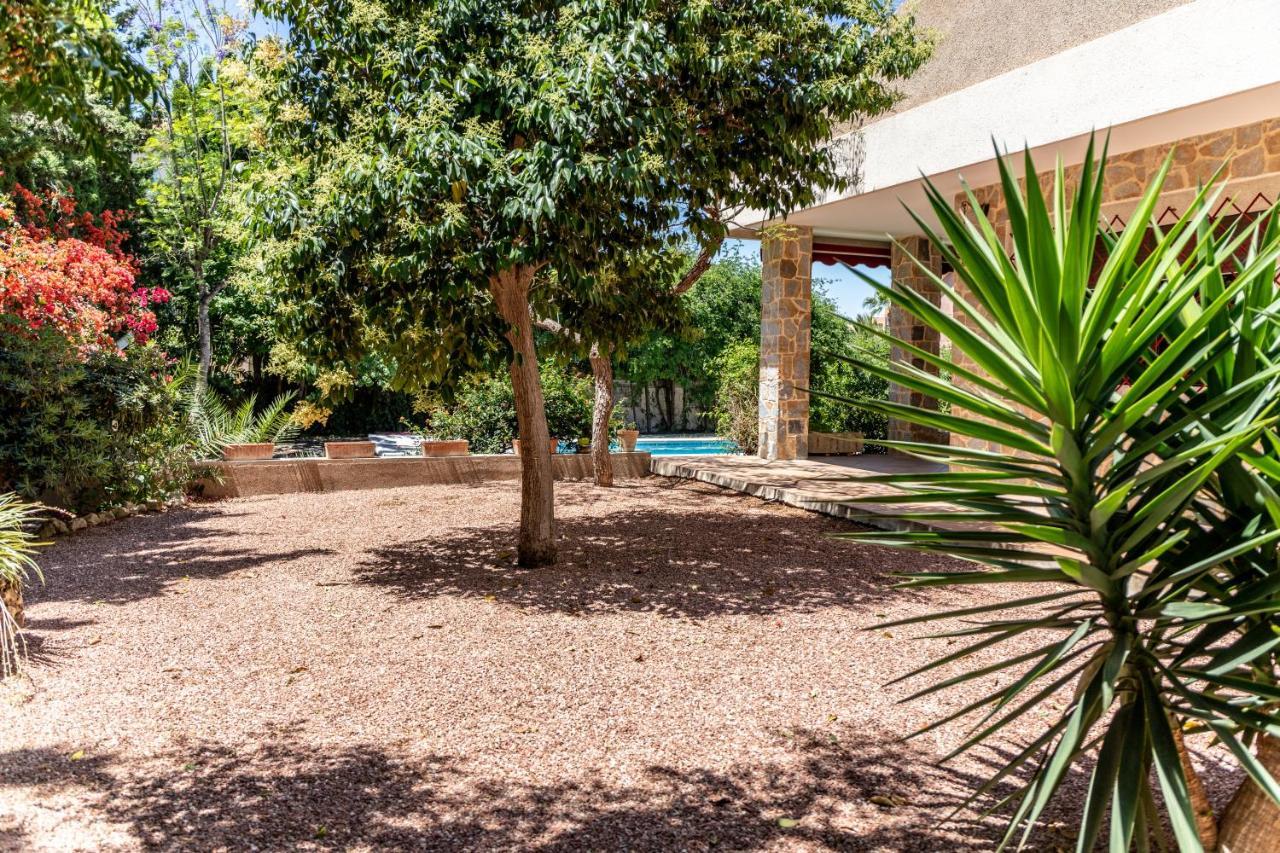 Gran Chalet Centrico Con Piscina Y Bbq Privada A 5 Minutos Playa Villa Alicante