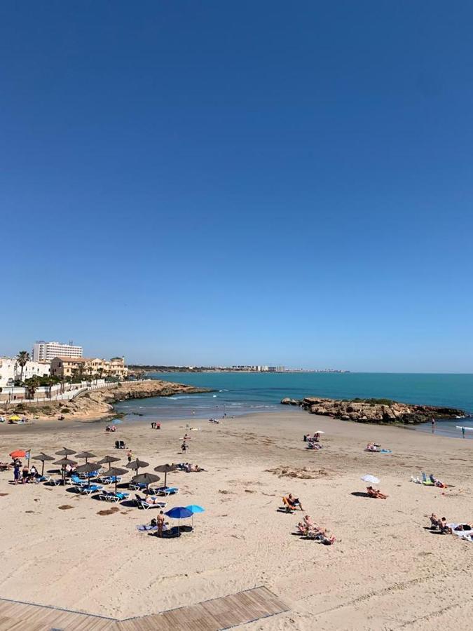Apartment Floor Spacious With Roof Terrace Alicante