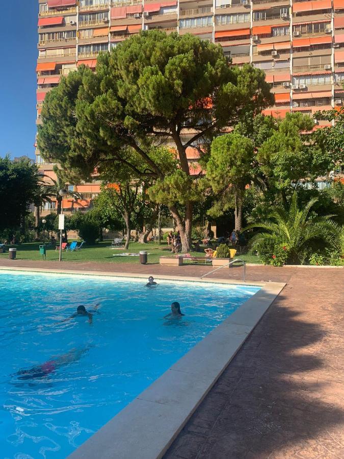Glp Cabo Alicante