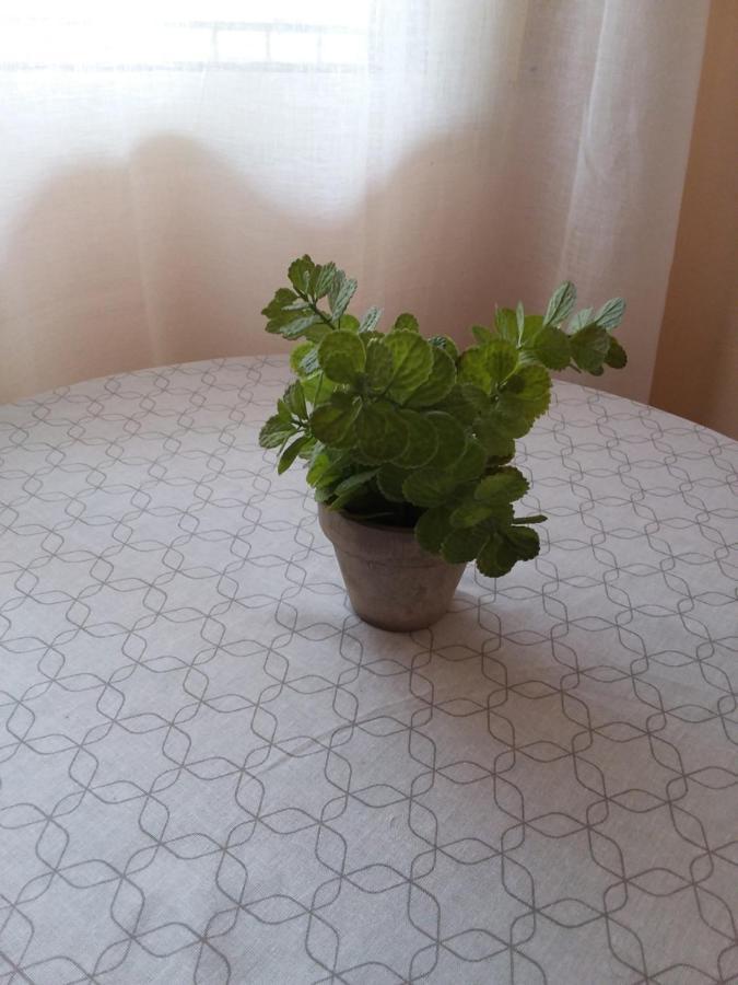 Victoria Homestay Alicante