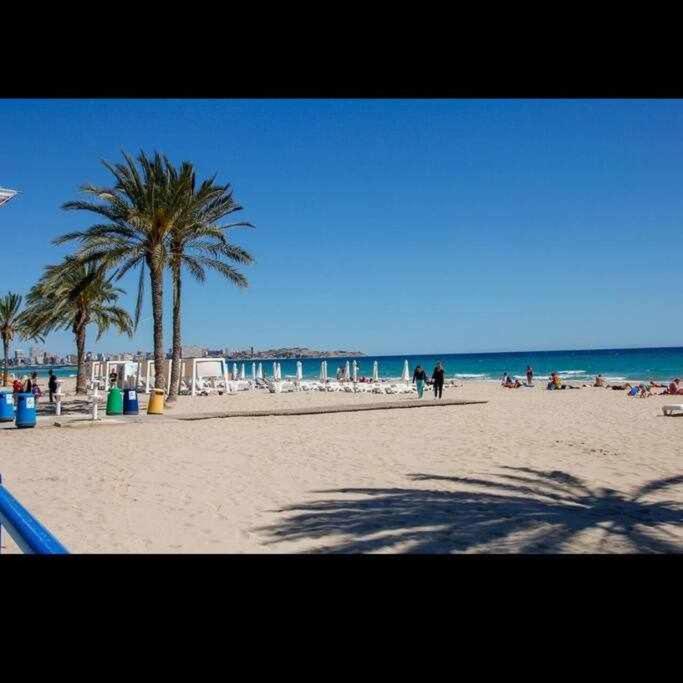 Apartment Auditorio A 10 Min Del Centro A Pie Alicante
