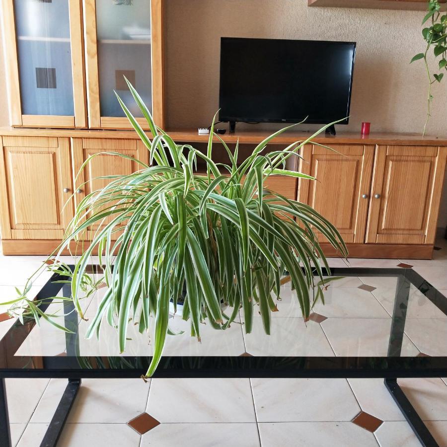 Habitación Privada Con Vistas Espectaculares * Alicante