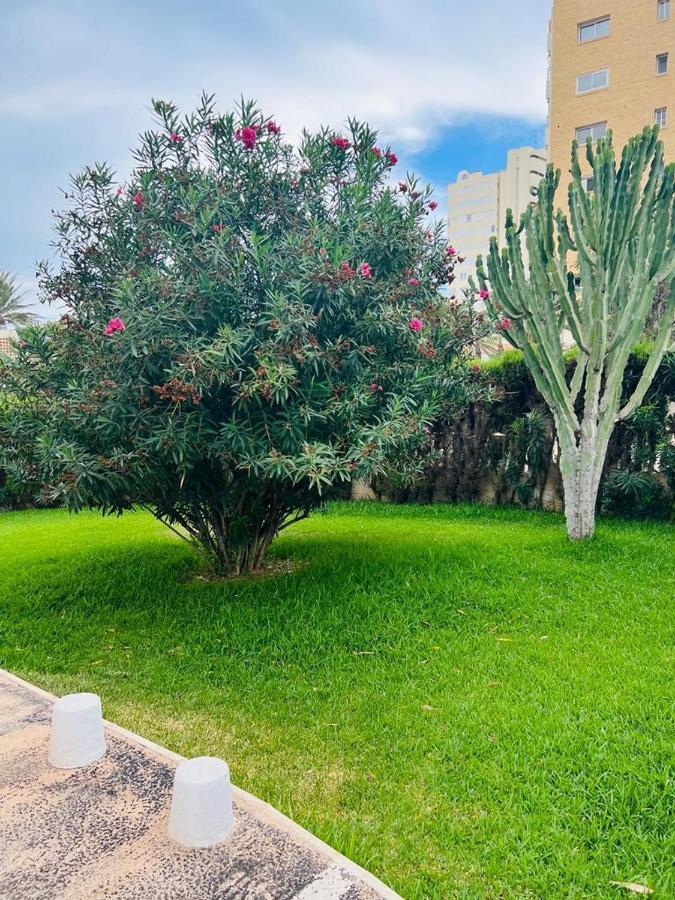 Acogedor Apartamento En Playa San Juan Apartment *