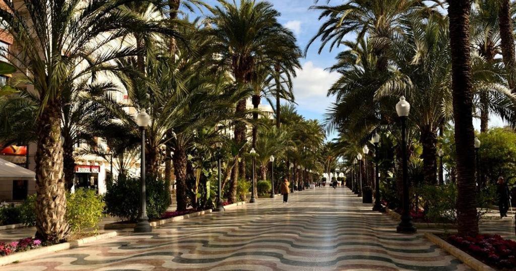 Homestay 10-46-1- Комната В Квартире Для 4 Человек В Аликанте Alicante